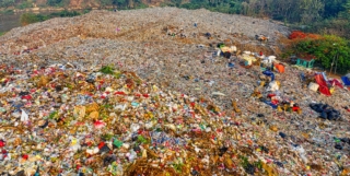 Etat des lieux des masses de gaspillages alimentaires et de sa gestion aux différentes étapes de la chaîne alimentaire